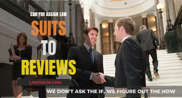 Assigning Lawsuits to Reviews: Exploring Legal Boundaries