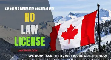 Immigration Consultancy: Law License Not Needed?