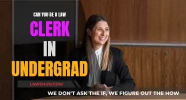 Law Clerk: An Undergrad's Guide to the Legal World