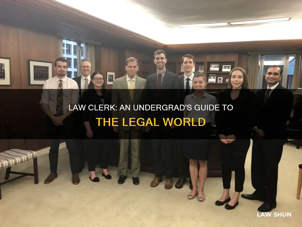 can you be a law clerk in undergrad