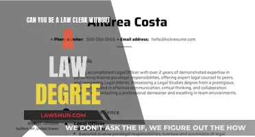 Law Clerk Without a Law Degree: Is It Possible?