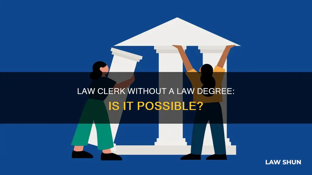 can you be a law clerk without a law degree