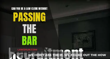 Law Clerk Without a Bar: Is It Possible?