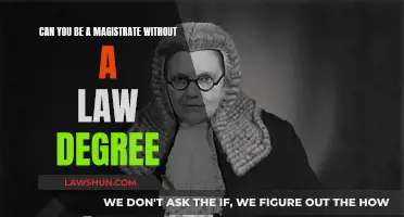Pursuing Magistracy: Law Degree Essential or Not?