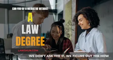 Mediator Role: Law Degree Essential or Advantage?
