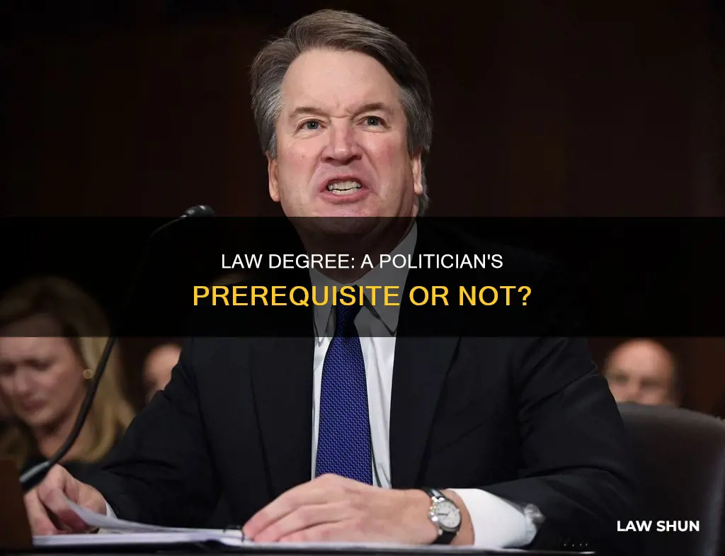 can you be a politician without a law degree