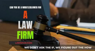 Whistleblowing on Law Firms: What You Need to Know