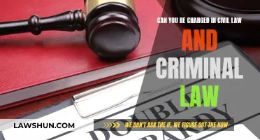Civil and Criminal Law: Dual Charges Possible?