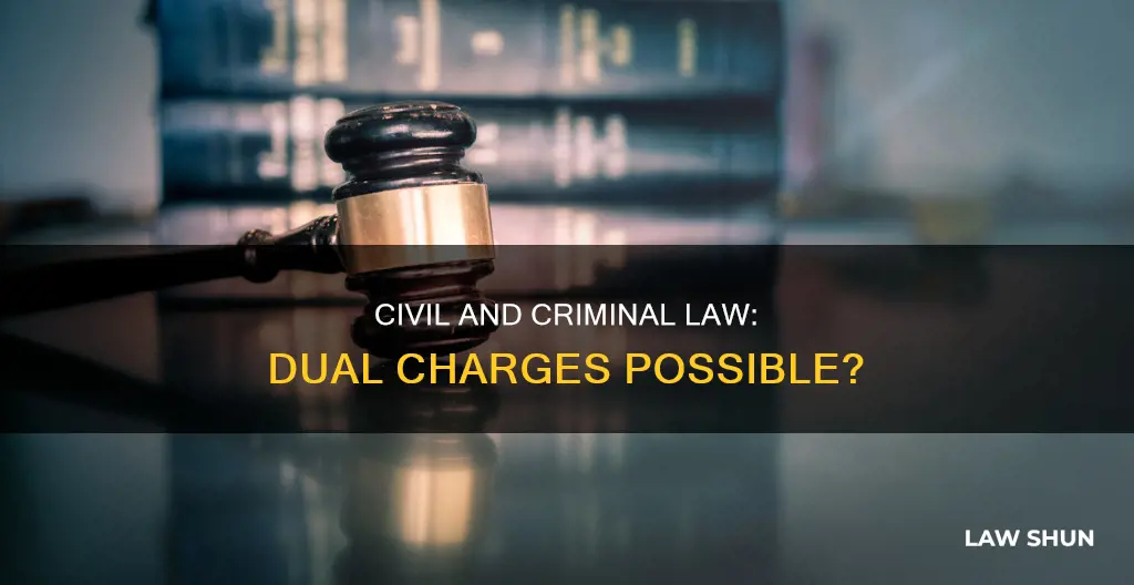 can you be charged in civil law and criminal law
