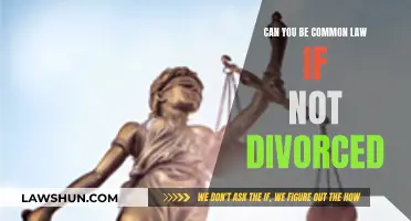 Common Law Marriage Before Legal Divorce: What's the Verdict?