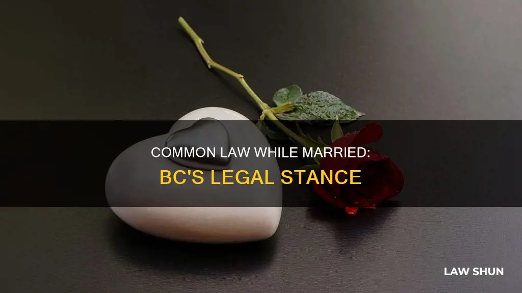 can you be common law if still married in bc