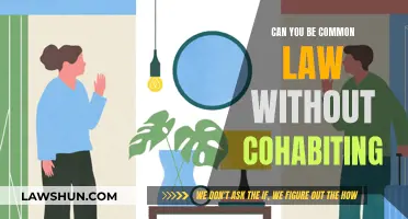 Cohabitation and Common Law: What's the Legal Connection?