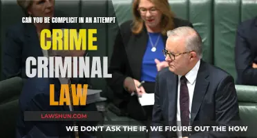 Complicity in Attempted Crime: A Fine Line in Criminal Law