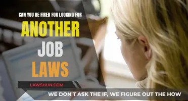 Your Job Search and Employment: Legal Protection