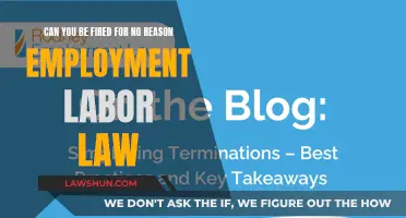 Employment Labor Law: Can You Be Fired Without Reason?