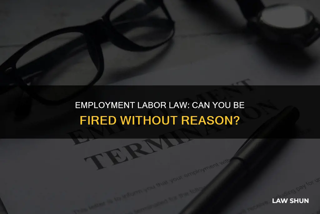 can you be fired for no reason employment labor law