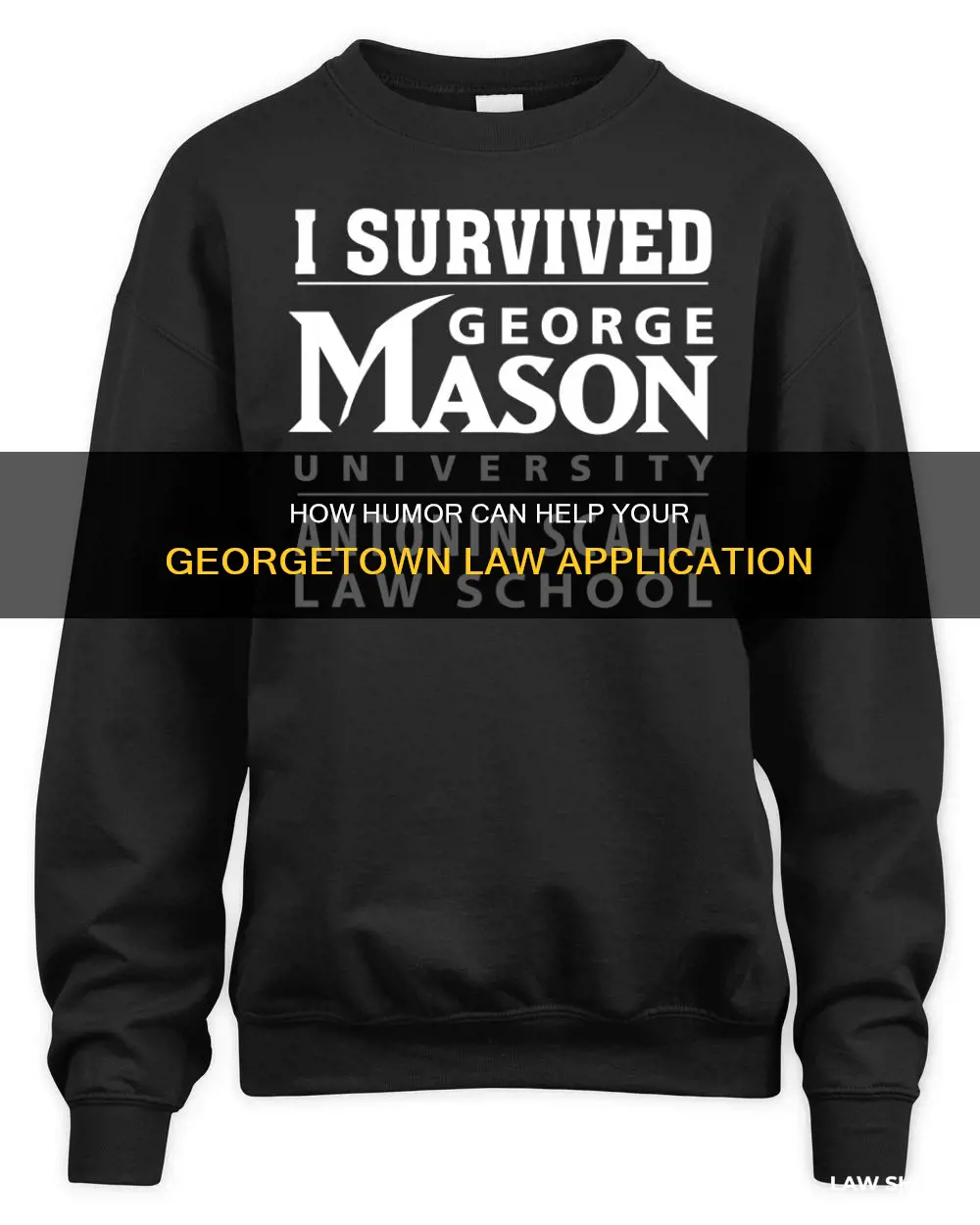 can you be funny georgetown law application