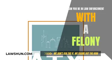 A Felon in Law Enforcement: Is It Possible?