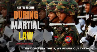 Martial Law: Deadly Force and Civilian Casualties