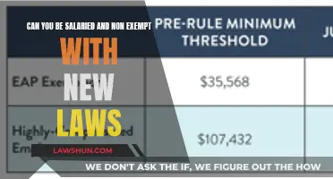 Salaried Yet Non-Exempt: Understanding the New Employment Laws