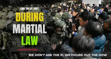 Martial Law and Gun Violence: A Deadly Mix