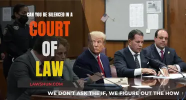 The Right to Silence: Can You Be Silenced in Court?
