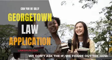 Being Silly: A Georgetown Law Application Deal-Breaker?