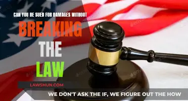 A Damaging Conundrum: Sued Without Lawbreaking?