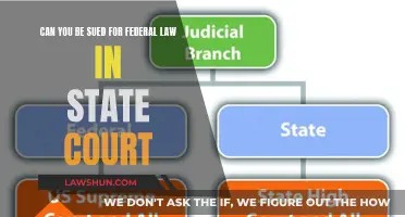 Federal Law, State Court: Navigating the Legal Landscape