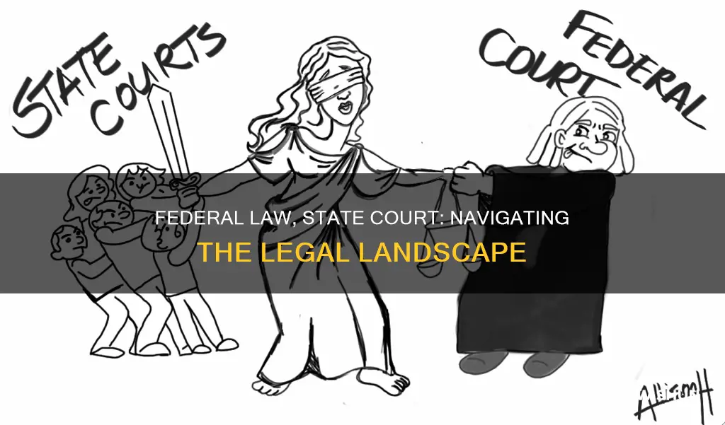can you be sued for federal law in state court
