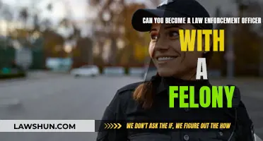 Becoming a Law Enforcement Officer with a Criminal Record