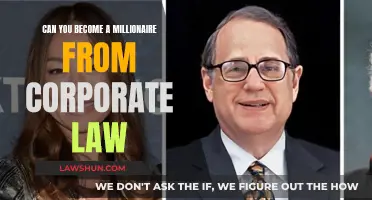 Corporate Law: A Million-Dollar Career Path?