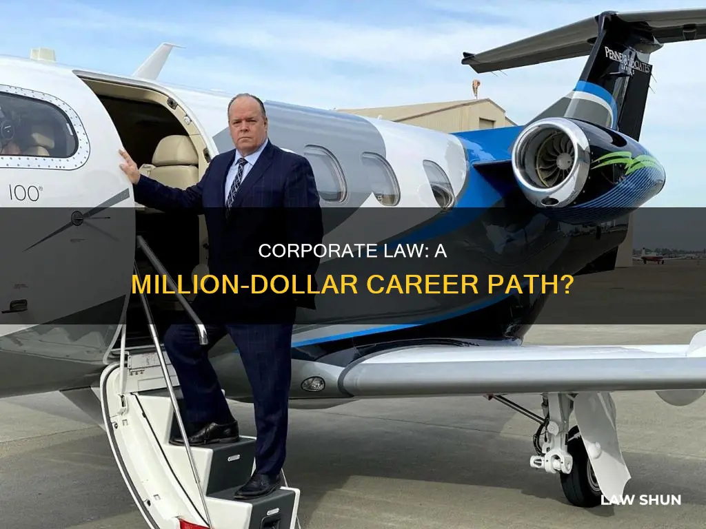 can you become a millionaire from corporate law