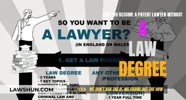 Becoming a Patent Lawyer: Law Degree Essential?