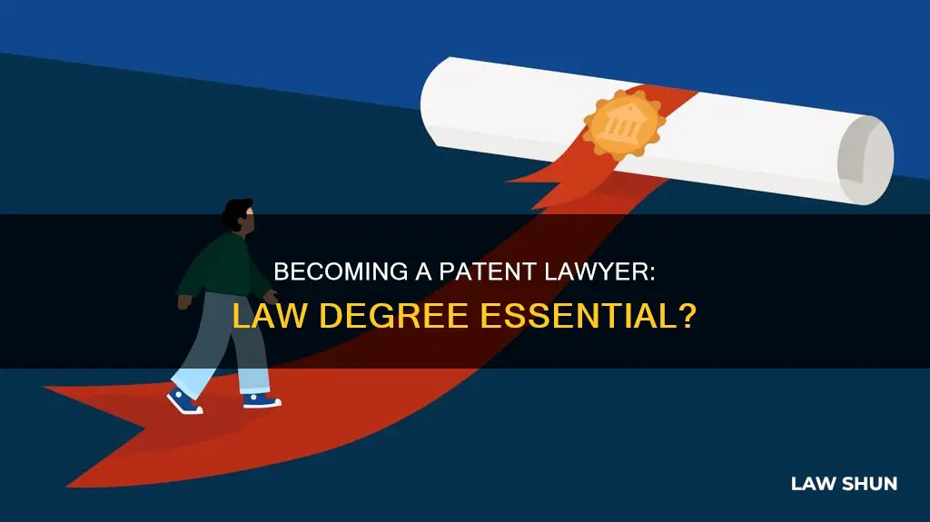 can you become a patent lawyer without a law degree