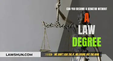Pursuing a Senator Role: Law Degree Essential or Not?