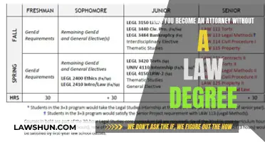 Pursuing Attorney Status: Law Degree Essential or Optional?