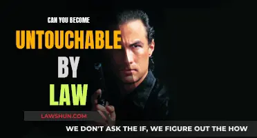 The Unlawful Untouchables: Evading the Law's Grasp