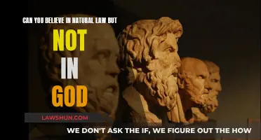 Natural Law: Godless Morality or Divine Order?