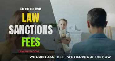 Sanctions Fees: Can You Avoid This Family Law Cost?