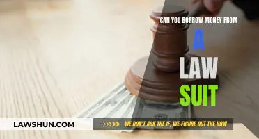 Borrowing Money: Lawsuits and Legal Options