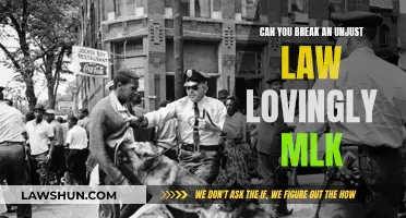 Loving Resistance: MLK's Approach to Unjust Laws
