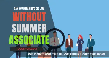 Breaking into Big Law: Summer Associate Alternatives