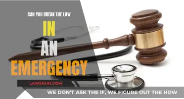 Emergency Ethics: When Does Desperation Turn Criminal?