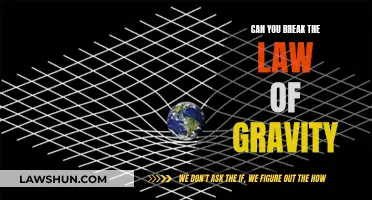Defying Gravity: Is It Possible to Break Law?