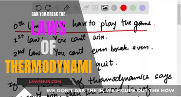 Thermodynamics Laws: Unbreakable or Flexible?