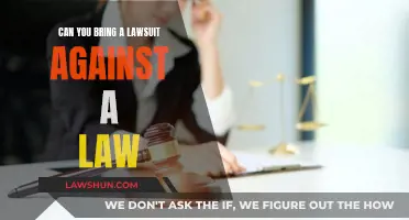 Suing the System: Can You Bring a Lawsuit Against a Law?