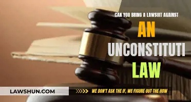 Suing Over Unconstitutional Laws: Is It Possible?