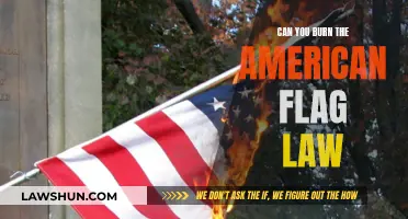 Flag Burning: Free Speech or a Crime?