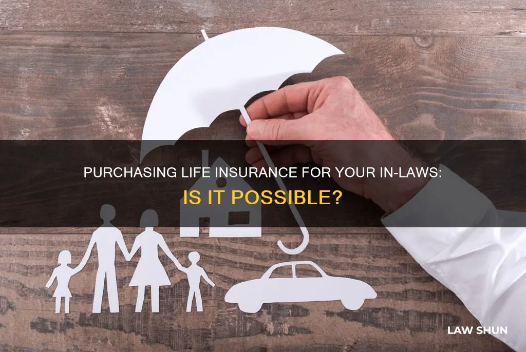 can you buy life an insurance policy for an in-law